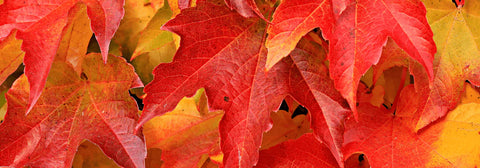 Set your inner Fire - find your motivation in autumn
