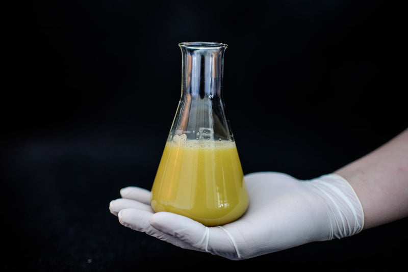 Was bedeutet HPP Saft und wie funktioniert das Verfahren?