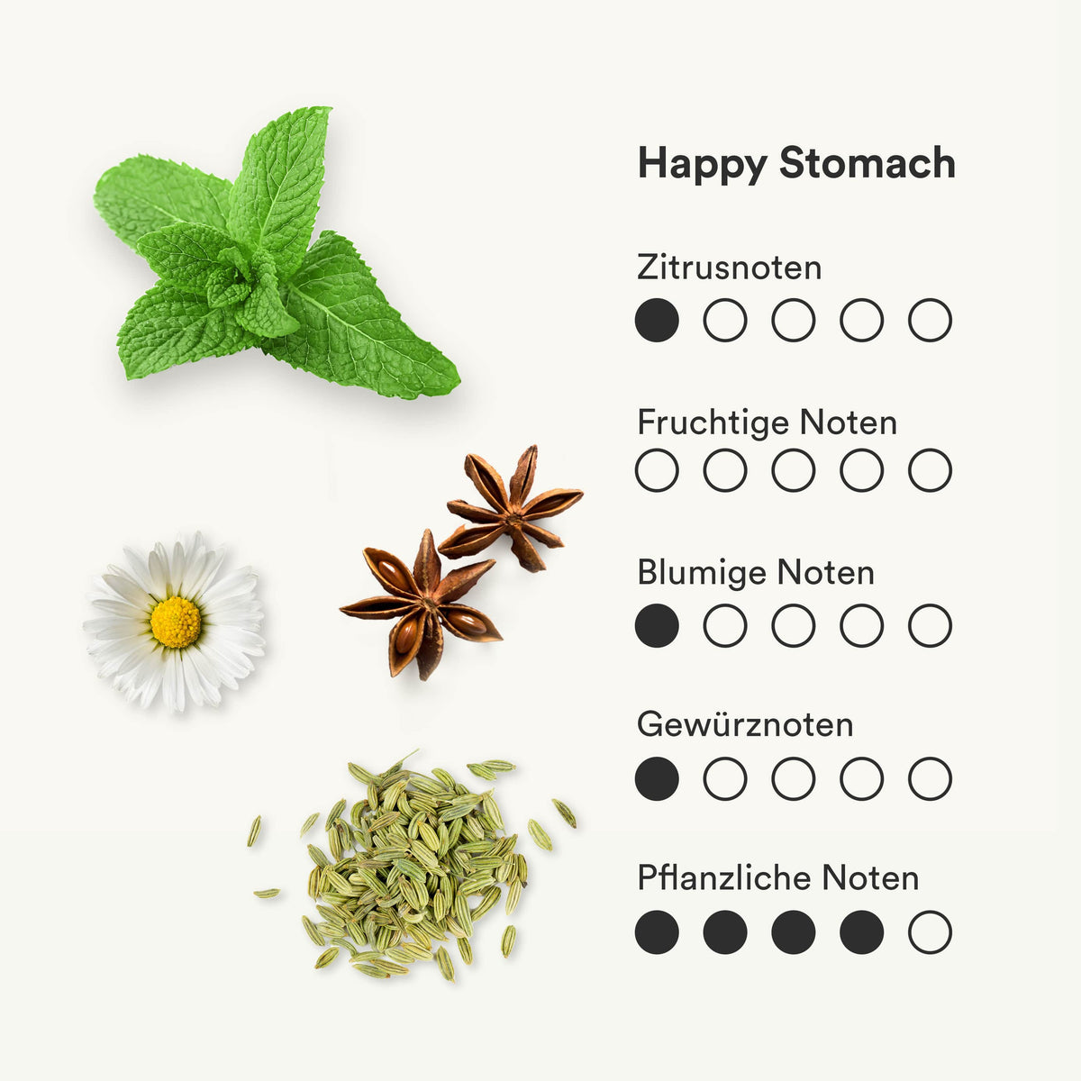 Darstellung des Geschmacksprofils des bio Tees Happy Stomach von frank.