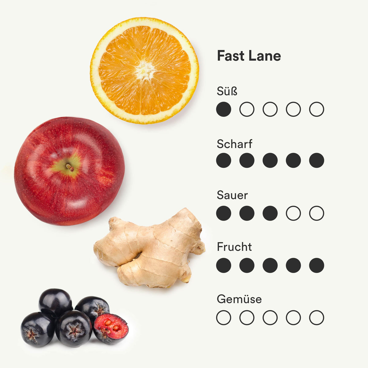 Darstellung des Geschmacksprofils des Ingwershots Fast Lane von frank.